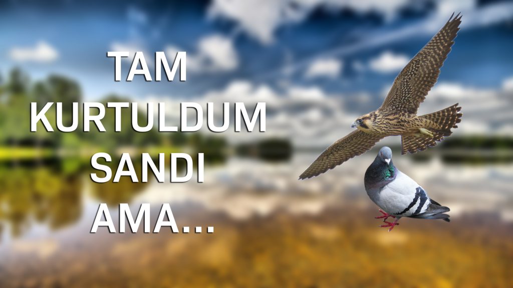 KURTULDUM SANDI AMA…