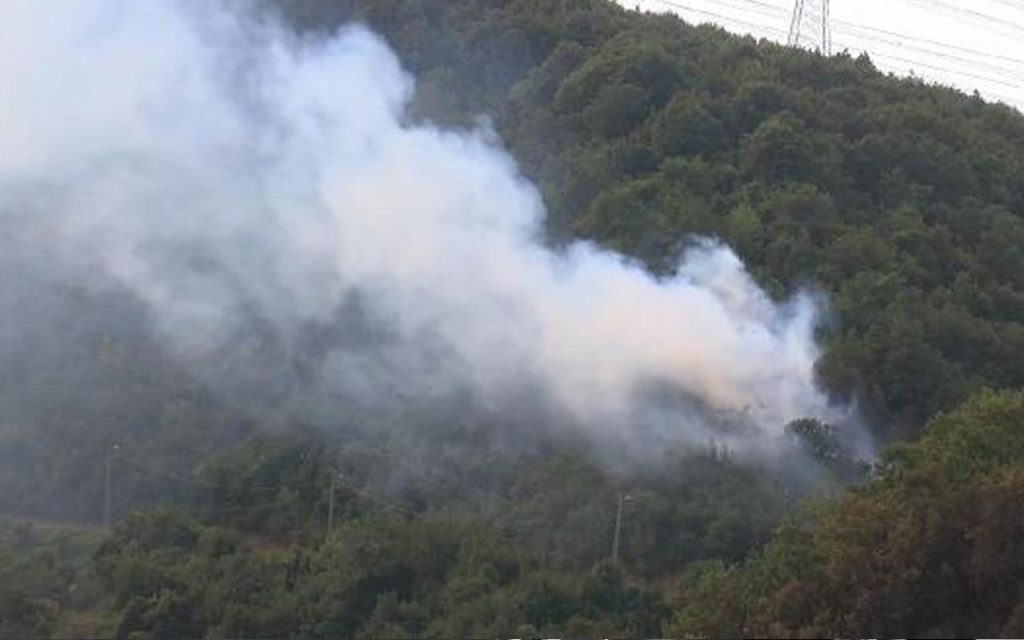Sarıyer’de aynı ormanlık alanda üçüncü kez yangın çıktı