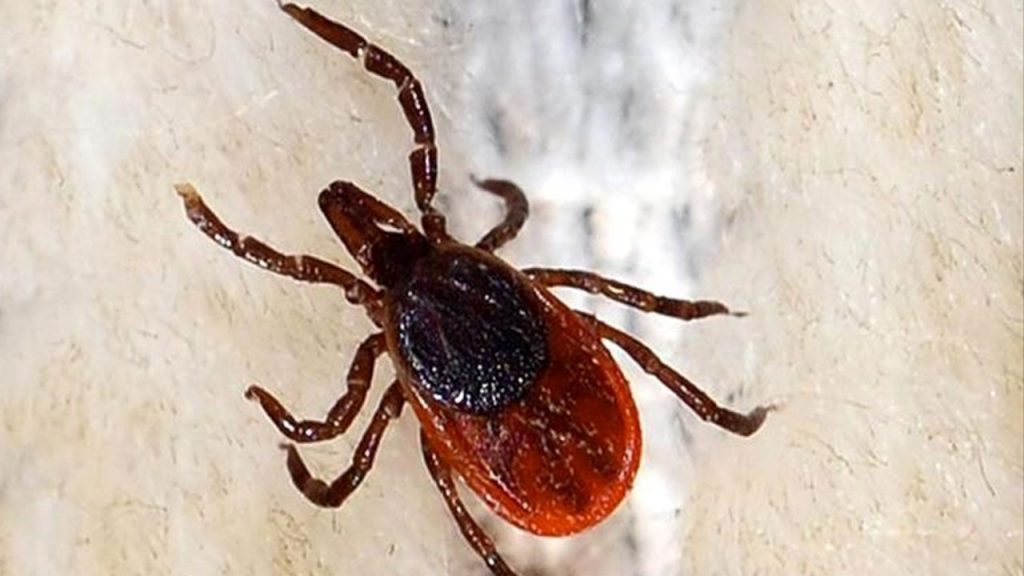 Kabus geri döndü! 4 gün önce rahatsızlandı bugün acı haber geldi