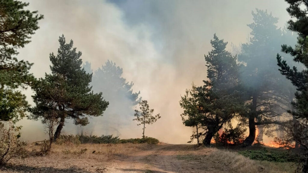Alevler ormana sıçradı! Ekipler bölgede…