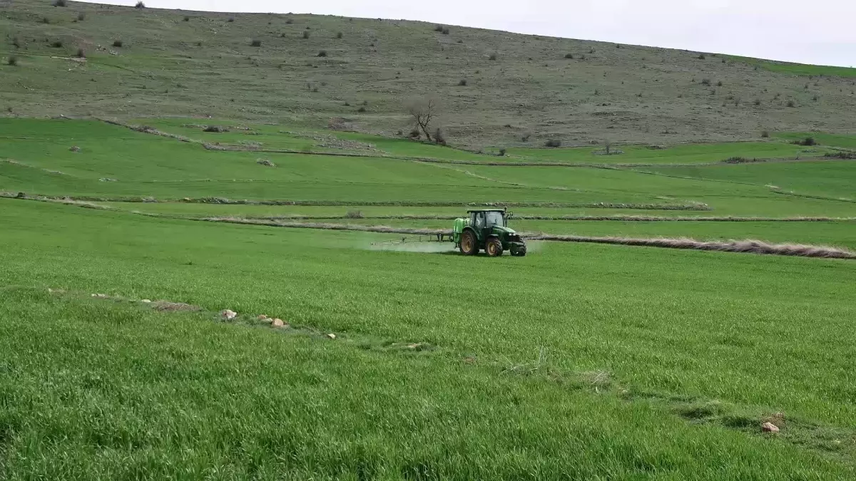 Anadolu Yemcilik İflas Kararı