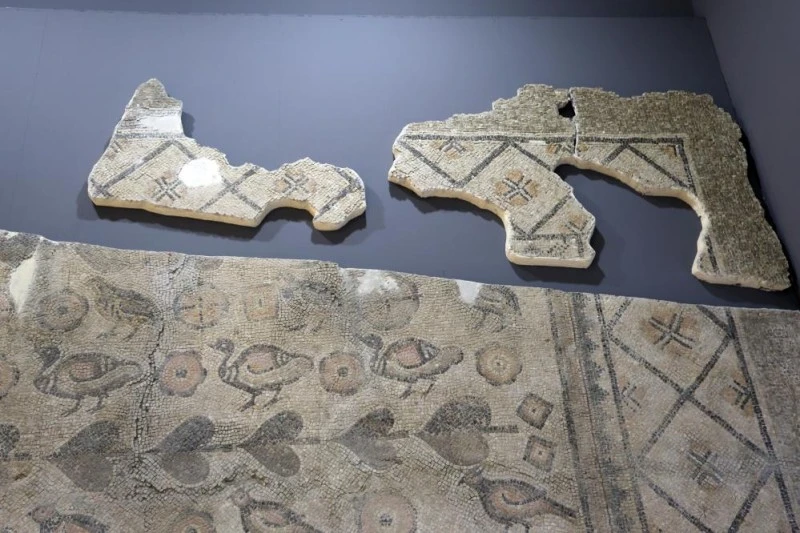 Sivas'ta Ahırın Zemininin Altında Saklı Kalan Mozaik Parçası 22 Yıldır Gün Yüzüne Çıkmayı Bekliyor!