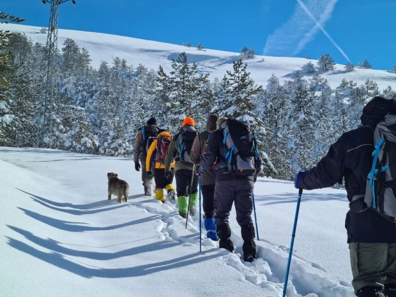 Sivas’ta Doğaseverler Çamlıbel Ormanına Doğa Yürüyüşü Düzenliyor