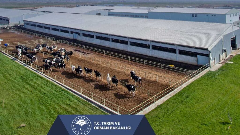 Tarım ve Orman Bakanlığı, Çiftçilere Ödeme Desteğini Hesaplarına Yatırıyor