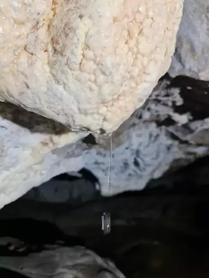 Türkiye’de İlk Kez Keşfedilen Ay Sütü Bakterisi