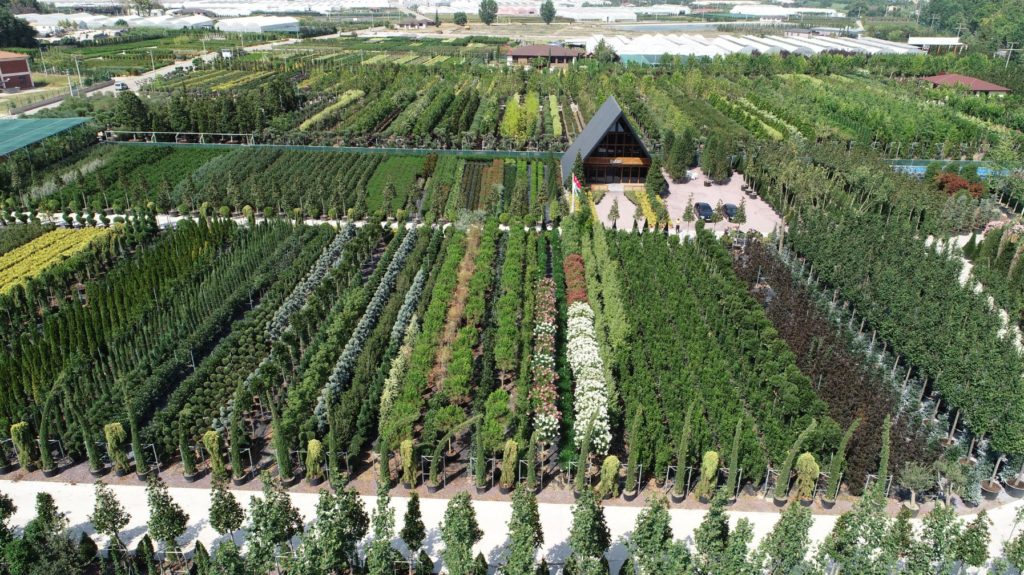 Sivas’ta Fidancılar, Ortak Alan İstiyor