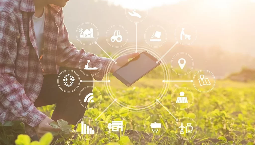 Ulusal İstihdam Stratejisi: Kırsal Bölgelere Yönelik Yeni Politikalar