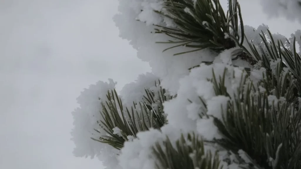 Ankara’da Kar Yağışı Başlıyor
