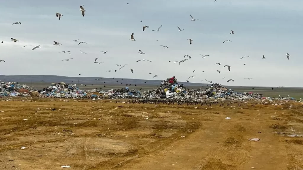 Ankara’ya Çevre İhlalleri Nedeniyle 5 Milyon TL Ceza
