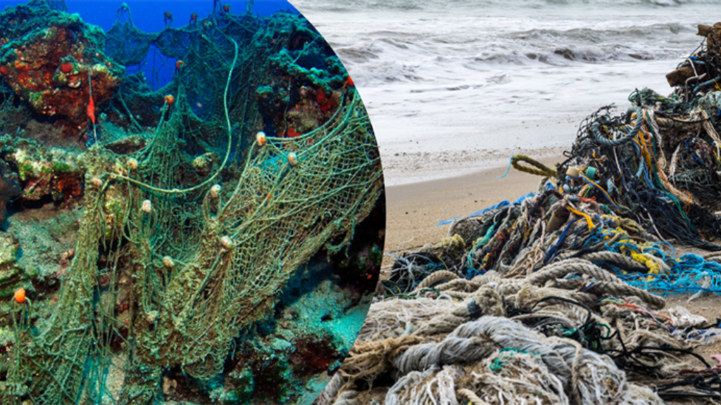 Hayalet Ağ Projesi ile Sucul Ekosistemlerin Korunması