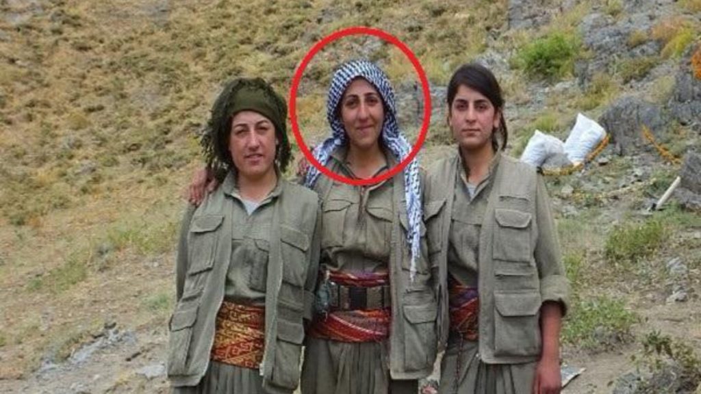 MİT, İki Teröristi Etkisiz Hale Getirdi