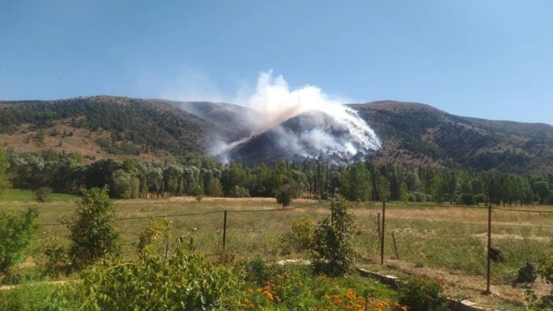 Sivas’tan Uzmanı Açıkladı: Artan Orman Yangınları İklim Değişikliğine Neden Oluyor!