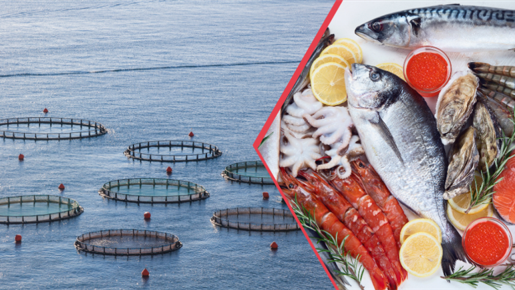 Tarım ve Orman Bakanı Yumaklı, Su Ürünleri İhracatında Rekor Kırıldığını Açıkladı