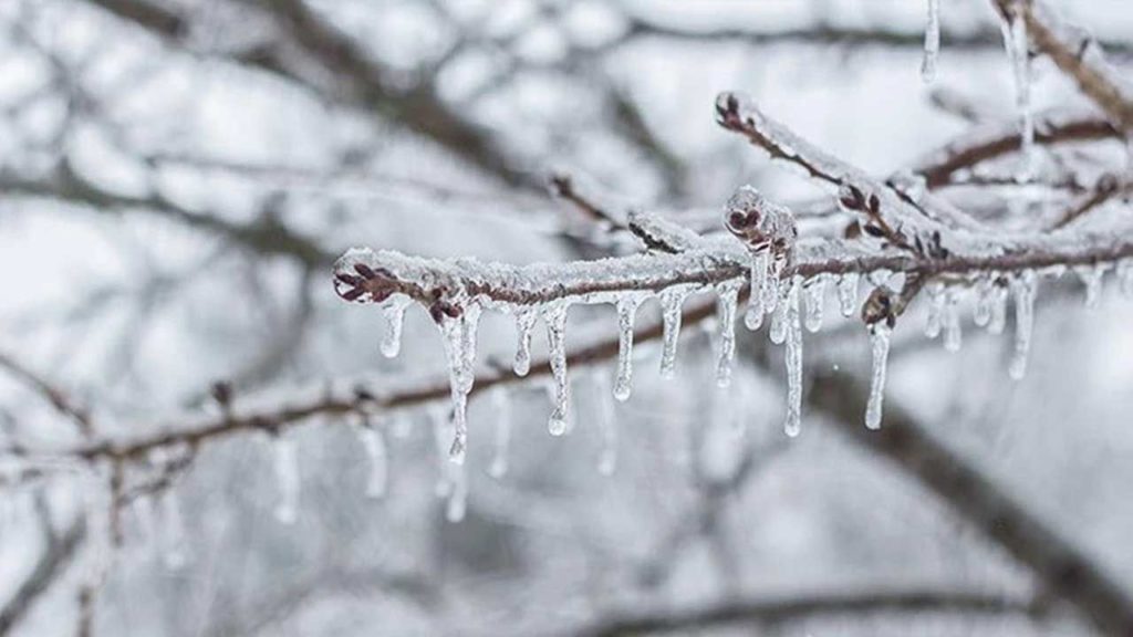 Ankara’da Kuvvetli Rüzgar ve Zirai Don Uyarısı