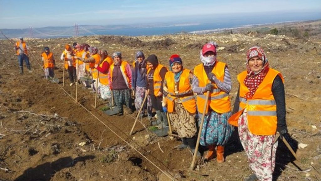 Çanakkale’de Ağaçlandırma ve Fidan Üretimi