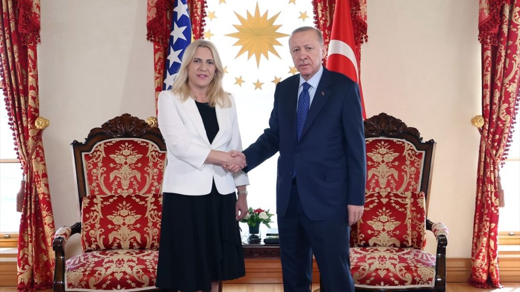 Cumhurbaşkanı Erdoğan, Bosna Hersek Devlet Başkanlığı Konseyi Başkanı ile Görüştü