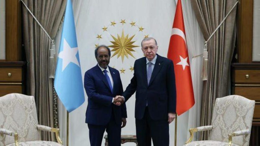 Erdoğan ve Somali Cumhurbaşkanı Hasan Şeyh Mahmud’un Görüşmesi