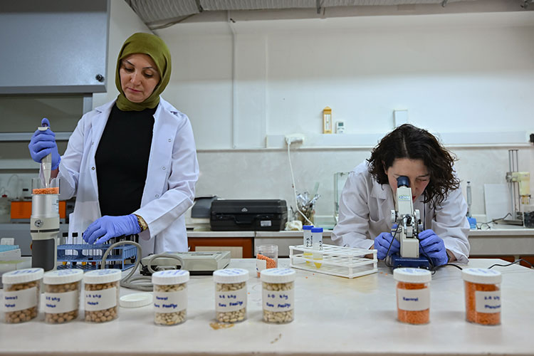 Gıda Işınlama Teknolojisi: Güvenlik ve Etkililik