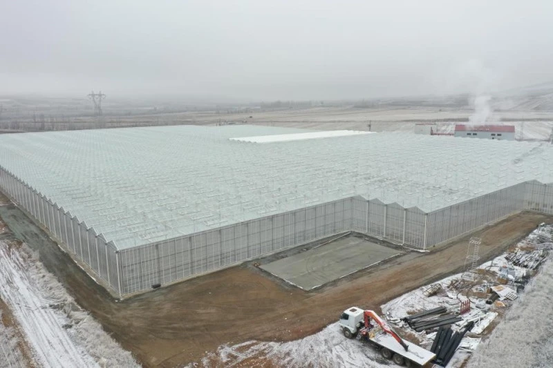 Jeotermal Enerji ile Sera İklimlendirmesi: Maliyet Avantajları ve Verimlilik