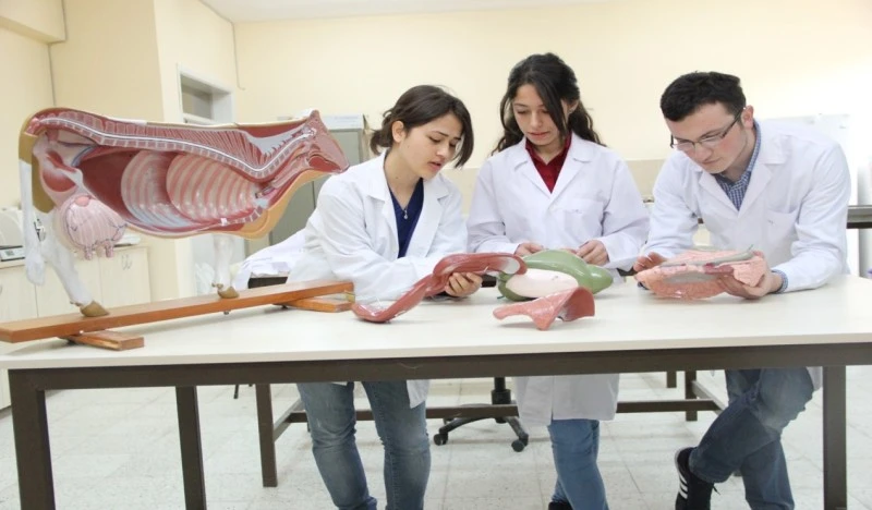 Sivas Cumhuriyet Üniversitesi Veteriner Fakültesi’nin Başarısı