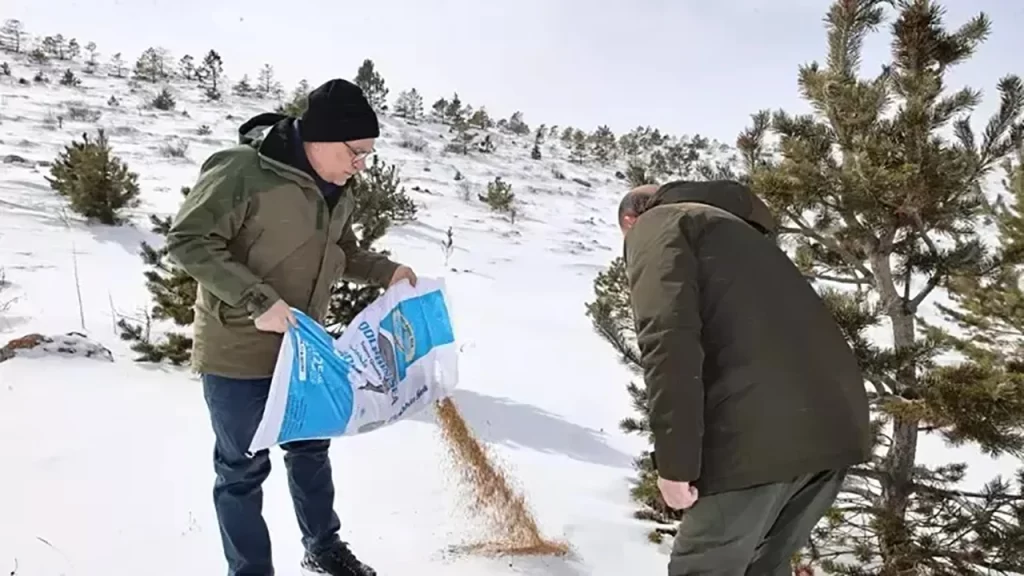 Yaban Hayvanlarına Destek: Jandarma Ekipleri Yardım Eli Uzatıyor