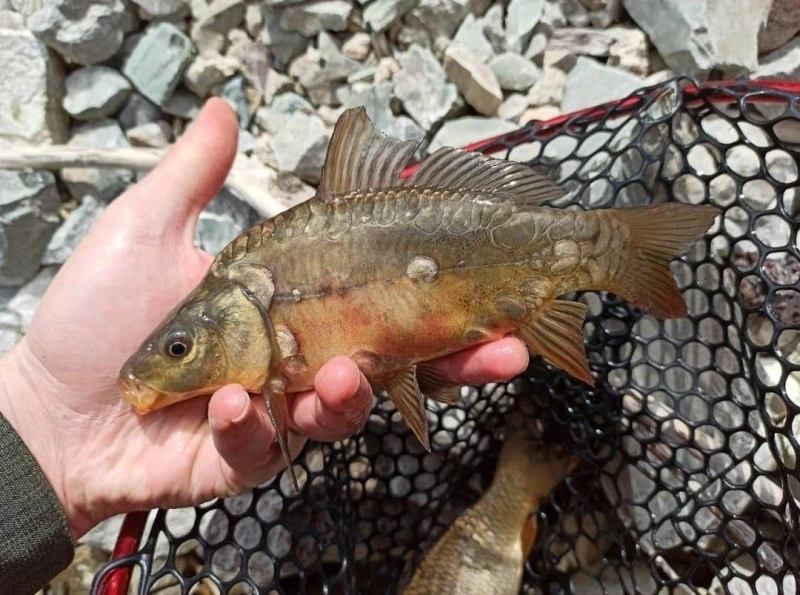 Sivas’ta İç Sularda Av Yasağı Duyurusu