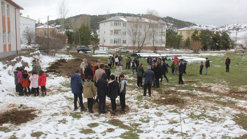 Kayısı Fidanları Şerefiye Köyünde Dikildi