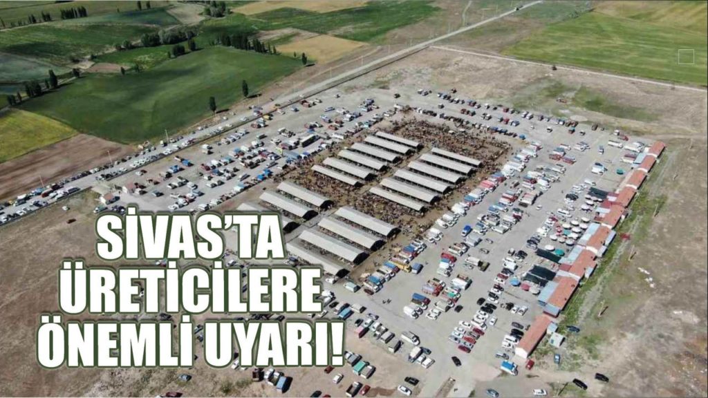 Şarkışla Hayvan Pazarı Yeniden Açılıyor: Üreticilere Uyarılar