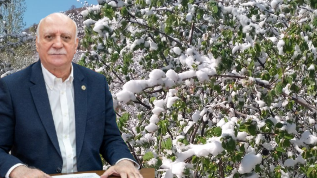 Sivas’ta Don Olayı Meyve Ağaçlarına Zarar Verdi