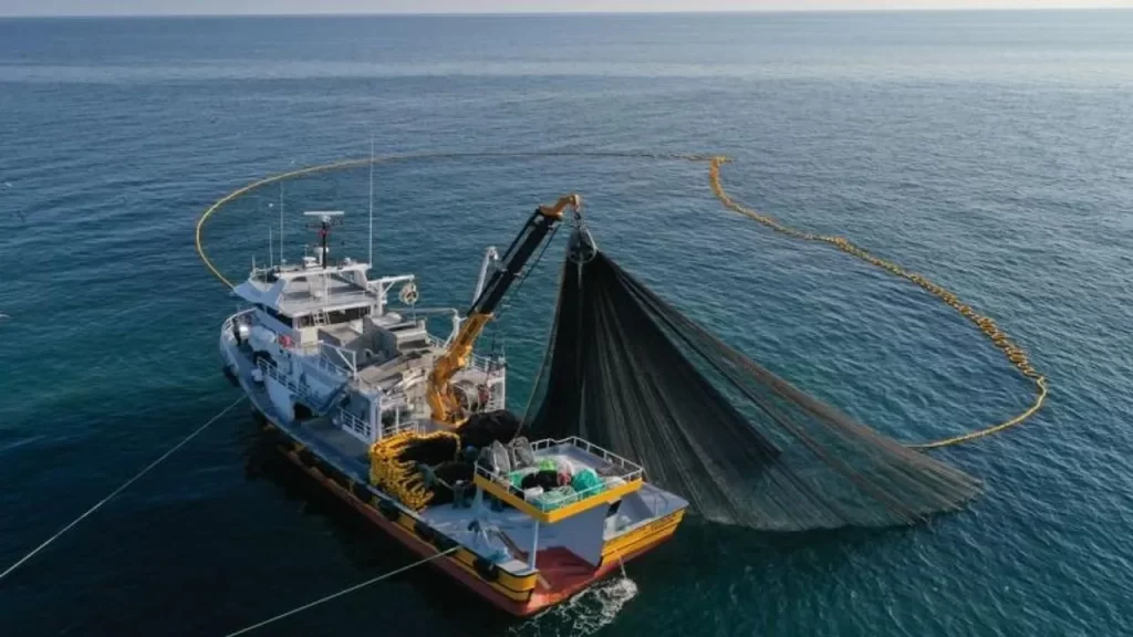 Balıkçılıkta Yeni Dönem: Belge Zorunluluğu ve Av Sezonu Düzenlemesi