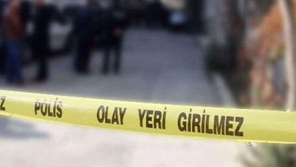 Ankara’da Sahiplendiği Yavru Köpekleri Öldürdüğü İddiasıyla Gözaltına Alınan Doktor Tutuklandı