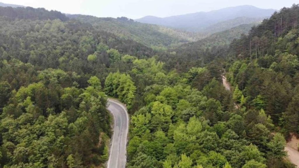 Çanakkale Orman Bölge Müdürlüğü’nden Yaz Ayları İçin Orman Yangını Uyarısı