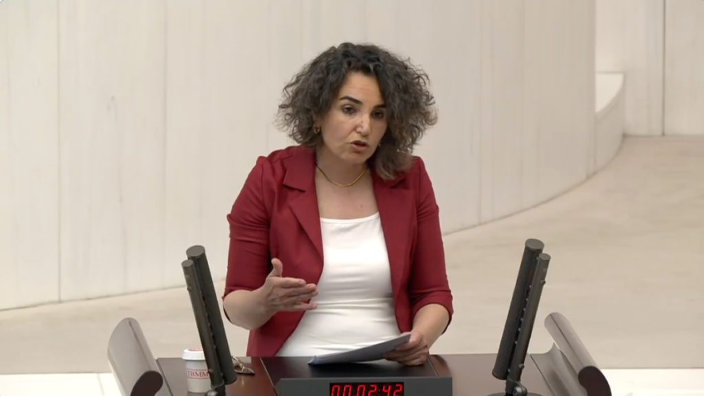 DEM Parti Milletvekili Çiçek Otlu’nun LGBT ve Kürtaj Açıklamaları