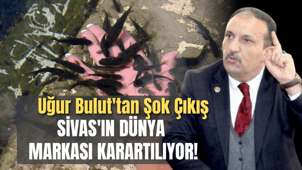 Kangal Balıklı Kaplıcası Uzun Süredir Kapalı ve Çözüm Arayışları Sürüyor