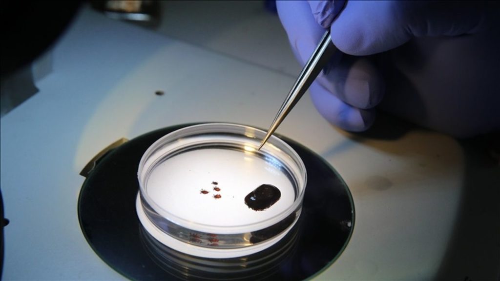 Kene Tehdidi ve Mücadele Yöntemleri Uzmanından Uyarılar