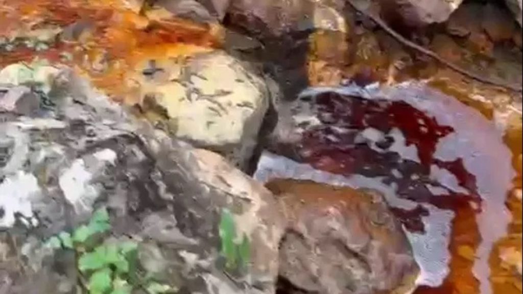 Koyulhisar’da Derelerin Renk Değişimi ve Kirlilik İddiaları