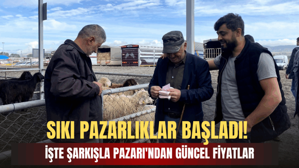 Şarkışla Canlı Hayvan Pazarı Kurban Yoğunluğuna Sahne Oldu