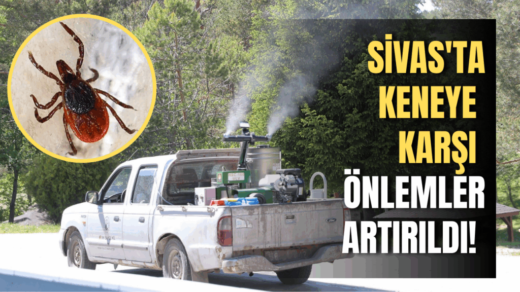 Sivas Belediyesi’nden Kene ile Mücadele Çalışmaları ve Uyarılar