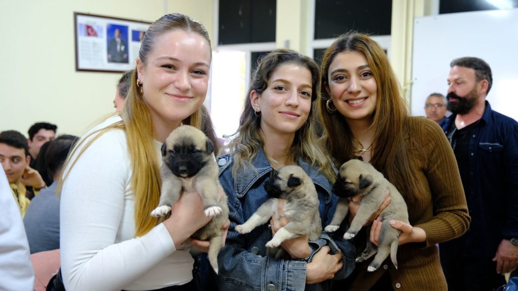 Sivas Cumhuriyet Üniversitesi Eczacılık Fakültesi’nde ‘Hayvana Şiddetle Mücadele Et’ Söyleşisi