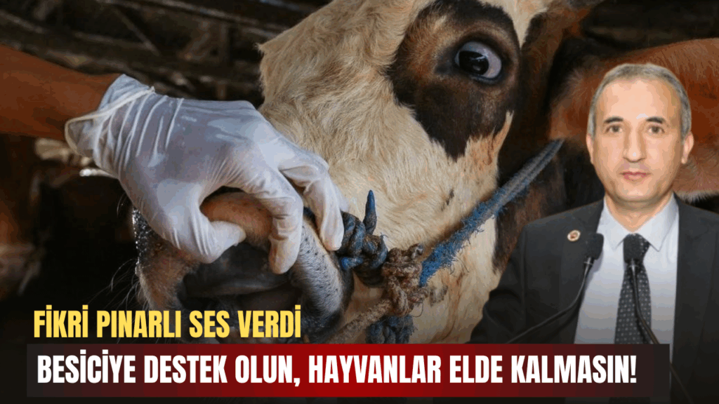 Sivas’ta Şap Hastalığı Panik Yarattı: 14 Köy ve Mahalle Karantina Altında