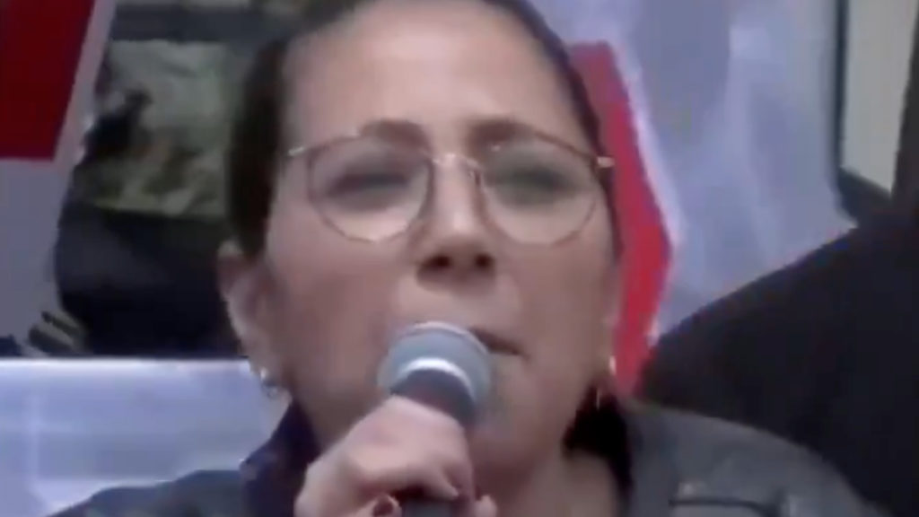 Sokak Hayvanlarıyla İlgili Tartışmalar ve Sera Kadıgil’in Açıklamaları