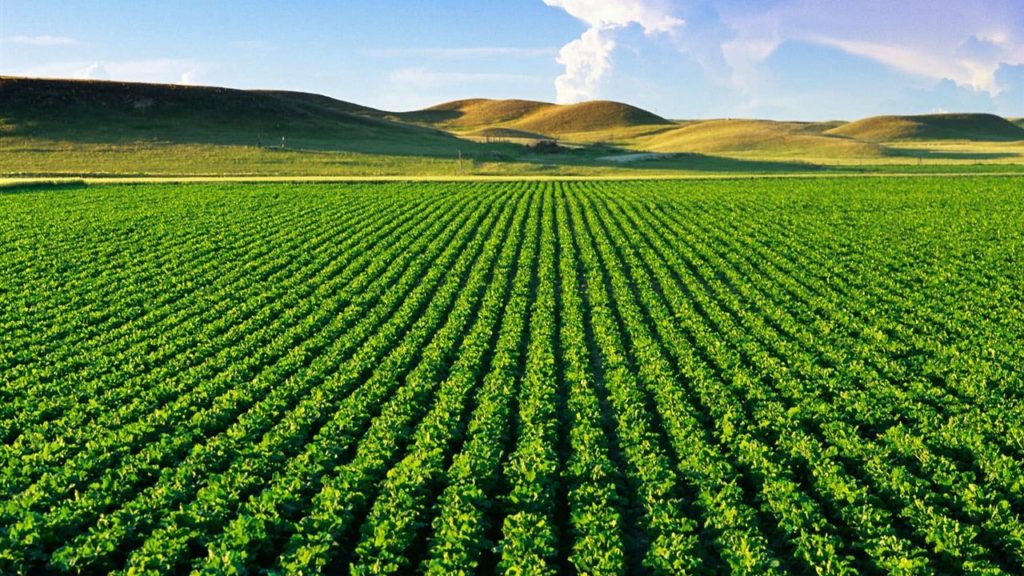 Tarım ve Orman Bakanlığı’ndan Gençlere Yönelik Yeni Destek ve Politikalar