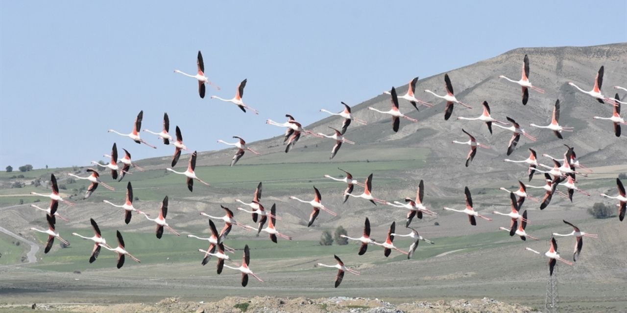 Gölün Ekosistemi ve Kuş Çeşitliliği
