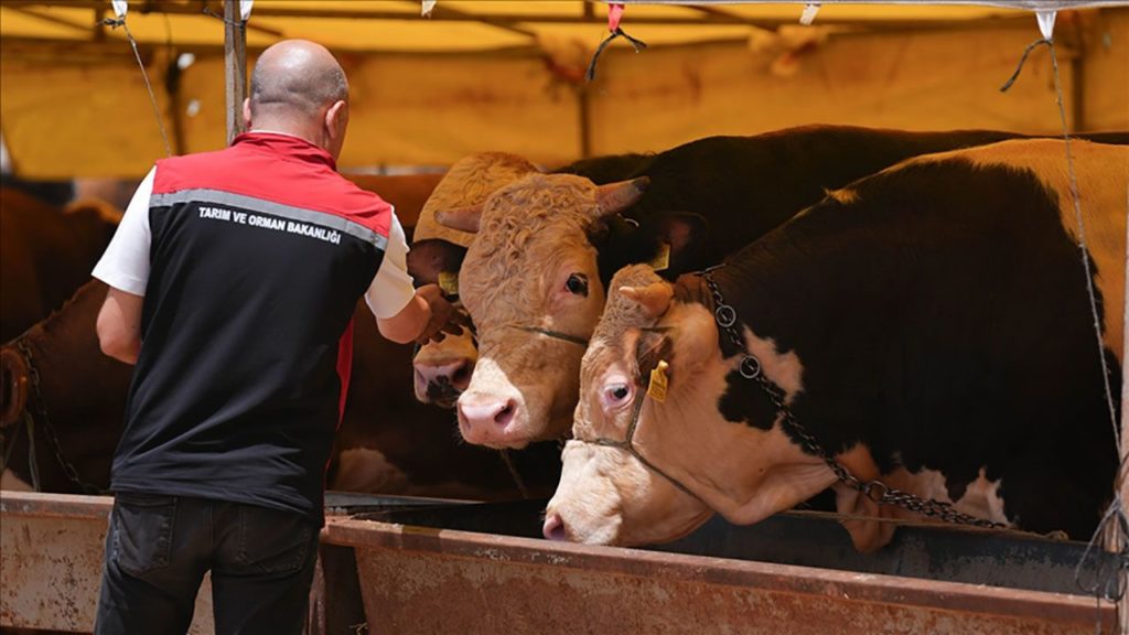 Bayram Öncesi Denetimler Artıyor: Veteriner ve Gıda Kontrolleri Yoğunlaşıyor