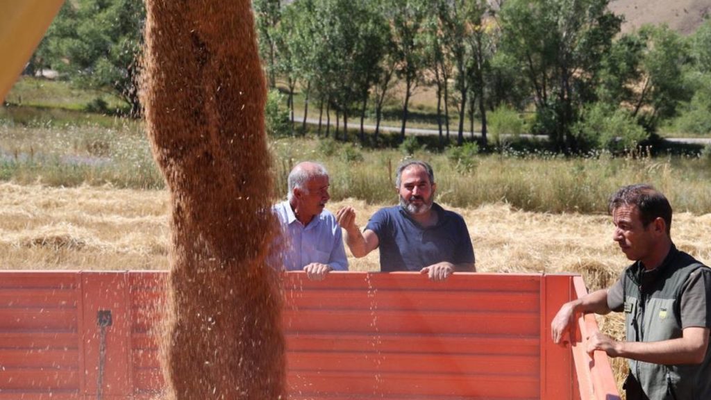 Çiftçiyi Sevindiren Hububat Fiyatları Açıklandı