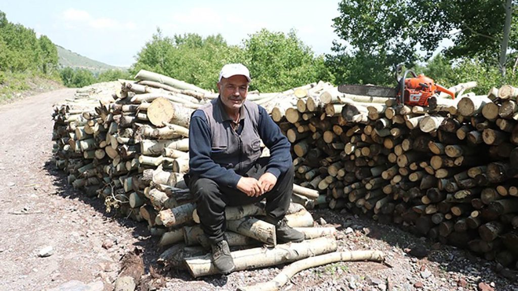 Erciyes Orman İşletme Şefliği’nde Ramazan Yöntem’den Titrek Kavak Ağaçlarına Hayat Veren Çalışma