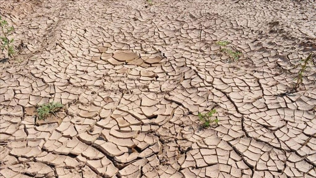 Kuraklık ve İklim Değişikliği Geleceği Tehdit Ediyor: 2050’ye Kadar Milyara Yakın İnsan Göç Edebilecek