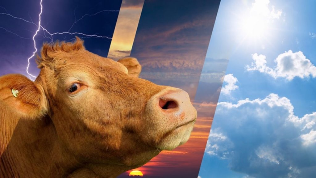 Kurban Bayramı’nda Hava Durumu ve Sıcaklık Artışları