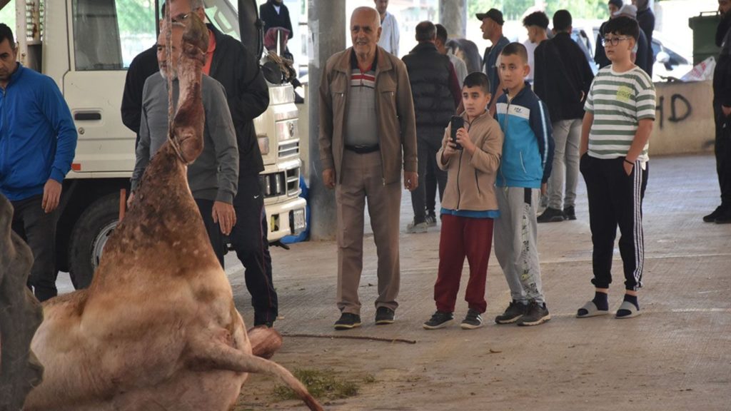 Kurban Bayramı’nda Kurban Kesiminde Yoğunluk