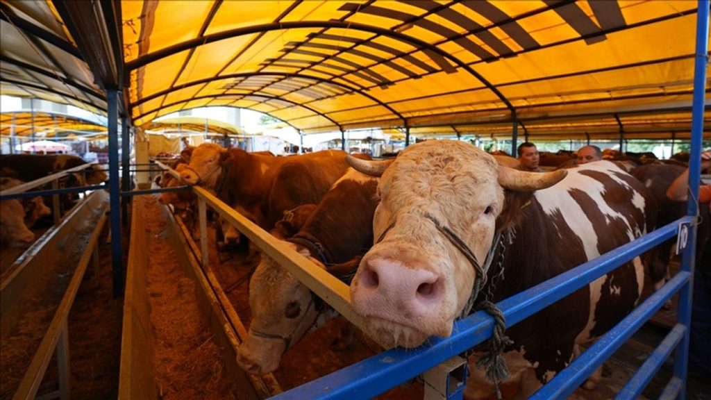 Kurban Kesiminde Bilinmesi Gerekenler